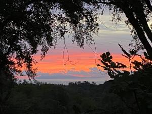 Maison au calme piscine mer au coeur de la nature U Nuciolu