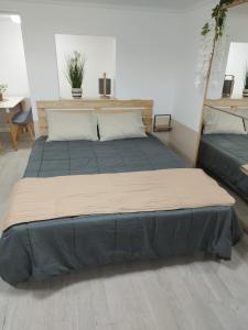 Disney grand F2 dans maison terrasse privée