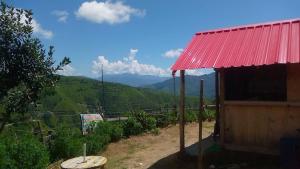 Vedic homestay Chakrata
