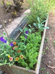 The Hillis Farmhouse - 6 Bed - Sleeps 11 - Pets