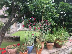 The Hillis Farmhouse - 6 Bed - Sleeps 11 - Pets