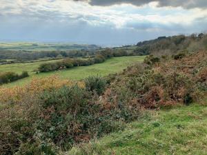 Luxury 4 Bed Farmhouse on Rewilding Estate