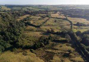 Luxury 4 Bed Farmhouse on Rewilding Estate