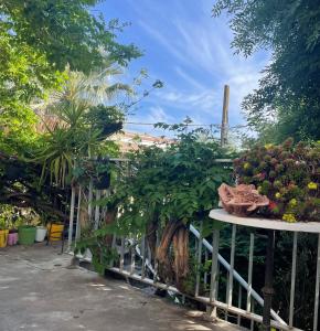 Appartements Les jardins de Veronique Marie : photos des chambres