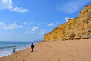 Luxury 2 Bed Woodland Cottage on Rewilding Estate