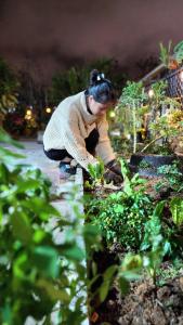 Boy House Đà Lạt