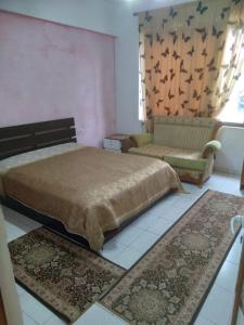 Furnished 1 Bedroom Apartment in Fier Kyengritja