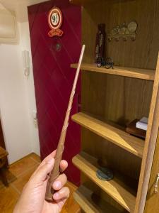 Harry Potter inspired 2bdr old town