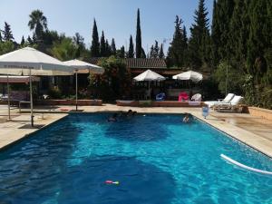 Spacious Garden Villa, private pool, huge grounds with orange trees