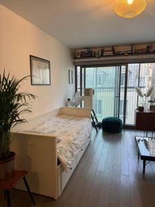Cozy appartement well located