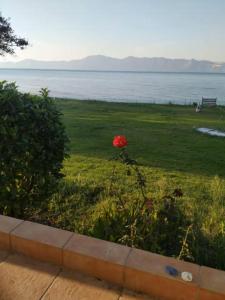 Villa Poseidon Artemisiou Παραθαλάσσια Βίλα για φιλοξενία 8 ατόμων