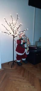 La ViE smeštaj-Niška Banja, Prva Kutina