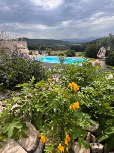 B&B / Chambres d'hotes La Bastide de Grosille : photos des chambres
