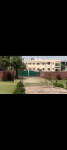 Shree radha rani dham