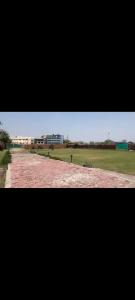 Shree radha rani dham