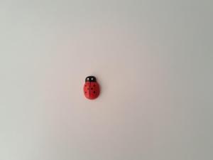 apartmaji strunjan 
