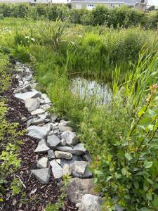 The Wild Atlantic Neurodiversity Autism Sanctuary