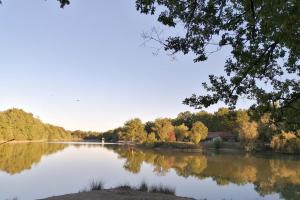 Campings Camping les Lacs d'Armagnac : photos des chambres