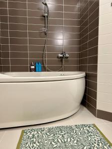 Marupe Zeltrīti Apartment