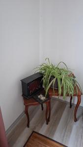 Maki Village near Siemens