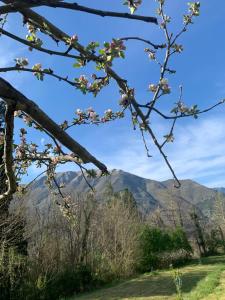 Villa Michelis de Matrice