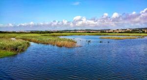 Modern Beach Flat with Pool & Sea View