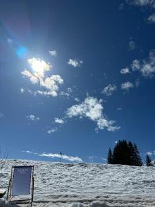 Appartements Studio au coeur du Praz-de-Lys - Les Pralyssimes : photos des chambres