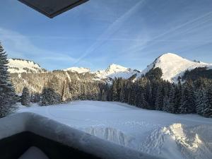 Appartements Studio au coeur du Praz-de-Lys - Les Pralyssimes : photos des chambres