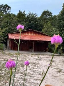 Chacara Refugio das Babaçus