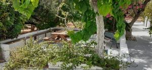 Captains Apartments in Olive Grove