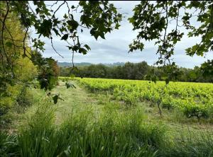 Maisons d'hotes Dependance chateau du Martinet : photos des chambres