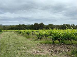 Maisons d'hotes Dependance chateau du Martinet : photos des chambres