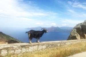 Villas Spacieuse villa avec vue exceptionnelle : photos des chambres