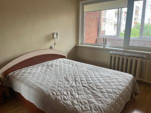 Butas prie tvenkinio