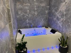 Apartments Vila Roboci