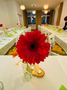 Jaśmin Baza noclegowa - pokoje pracownicze