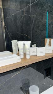 Penthouse with large terrace 5 km from Basel