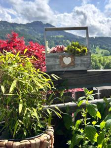Haus Edelweiss Panorama incl, Königscard