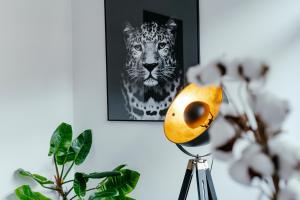 Duplex spacieux centre-ville de Spa