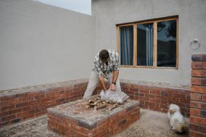 The Olive Branch Guesthouse and Animal Sanctuary