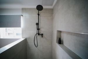 The Olive Branch Guesthouse and Animal Sanctuary