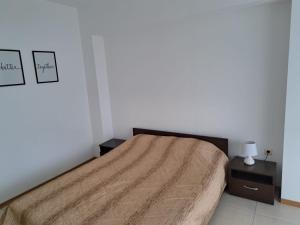 Grand Kamelia Apartment