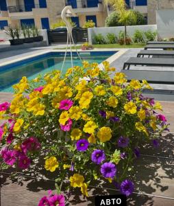 Levante Maisonette,Halkidiki