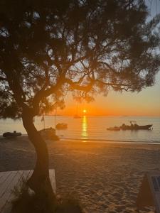 Flisvos beach studios