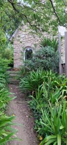 Maisons de vacances Villa de la Mer : photos des chambres