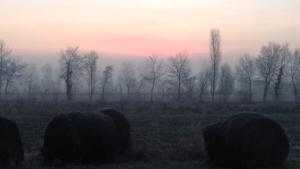 Agriturismo Natura Salute