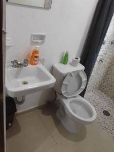 Apartamentos Cupules