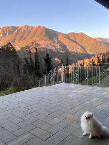 Villa Michelis de Matrice