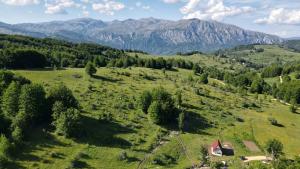Cottage by the brook