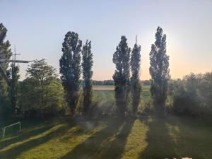 Słoneczna Wyspa 198